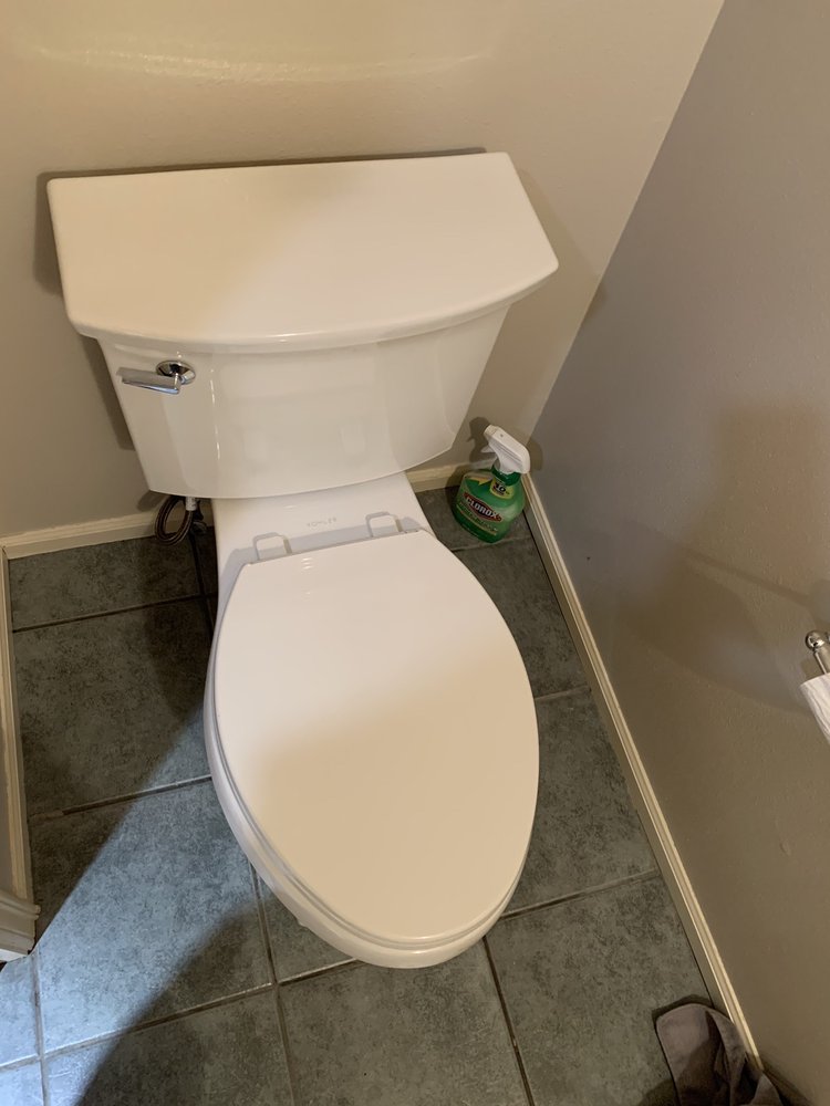 Slide of Pine Rooter