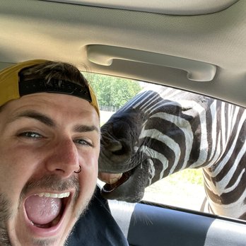 Alabama Safari Park - Zebras are wild - Zoos Near Me - Hope Hull, Alabama