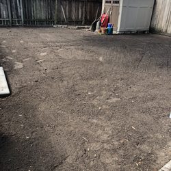 Houston Grass