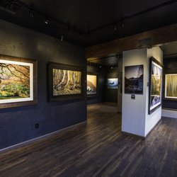Nick Selway Photography Gallery