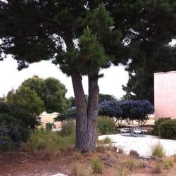 Panetta Institute - Near Front Entrance