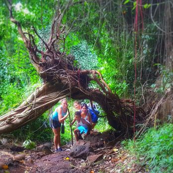 Makiki Valley Trail - Awesome pathways - Hiking Near Me - Honolulu, Hawaii Makiki Valley Trail - Awesome pathways - Hiking Near Me - Honolulu, Hawaii