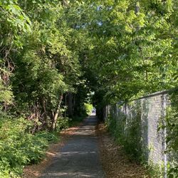 Versluis Park - Trail