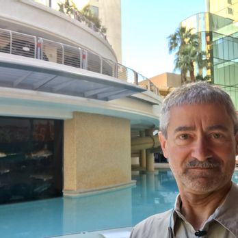 Golden Nugget Pool - Swim with sharks - sort of... - Swimming Pools Near Me - Las Vegas, Nevada