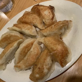 Golden Dumpling House - Fried Pork with Vegetables Dumplings - Chinese Near Me - Houston, Texas
