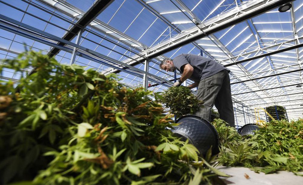 CATOCTIN MTN GROWERS Updated October 2024 8051 Sixes Bridge Rd