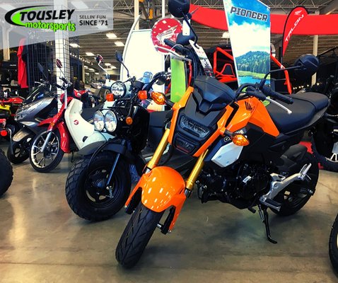 TOUSLEY MOTORSPORTS & MARINE - Updated January 2025 - 11 Photos & 66