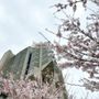 Photo of Robarts Library