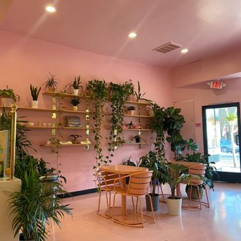 Holy Matcha - Tea Rooms Near Me - San Diego, California Holy Matcha - Tea Rooms Near Me - San Diego, California