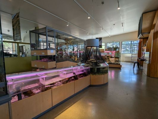 Randall Museum by null