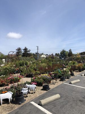 The Garden 80 Photos 56 Reviews Nurseries Gardening 2218 Mission St Santa Cruz Ca Phone Number Yelp 2218 Mission St Santa Cruz Ca, Garden Supply Santa Cruz