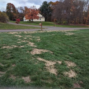 Weed Man - More repair - Pest Control Near Me - Springfield, Massachusetts