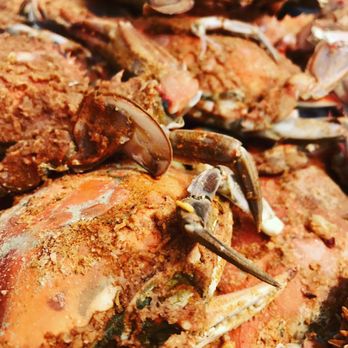 Skippers Pier - Blue Crabs! - Seafood Near Me - Deale, Maryland Skippers Pier - Blue Crabs! - Seafood Near Me - Deale, Maryland