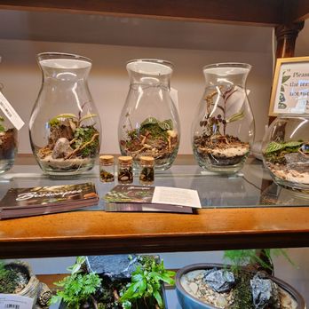 Thea Plant Co - Nurseries & Gardening Near Me - Providence, Rhode Island Thea Plant Co - Nurseries & Gardening Near Me - Providence, Rhode Island