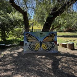 Fullerton Loop Bike Trail - Butterfly effect