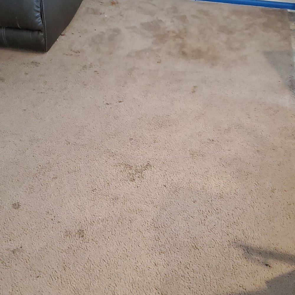 Before picture of our dirty carpet compared to the after picture. Very satisfied! Before picture of our dirty carpet compared to the after picture. Very satisfied!