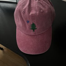 The Belted Cow Co - Belted Cow cap with Maine Flag insignia.