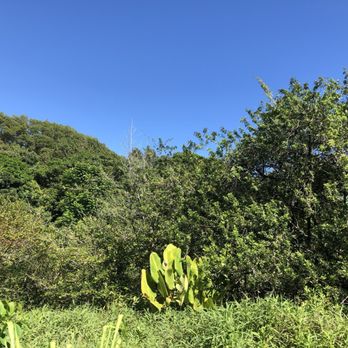 Road to Hana - Tours Near Me - Kihei, Hawaii Road to Hana - Tours Near Me - Kihei, Hawaii