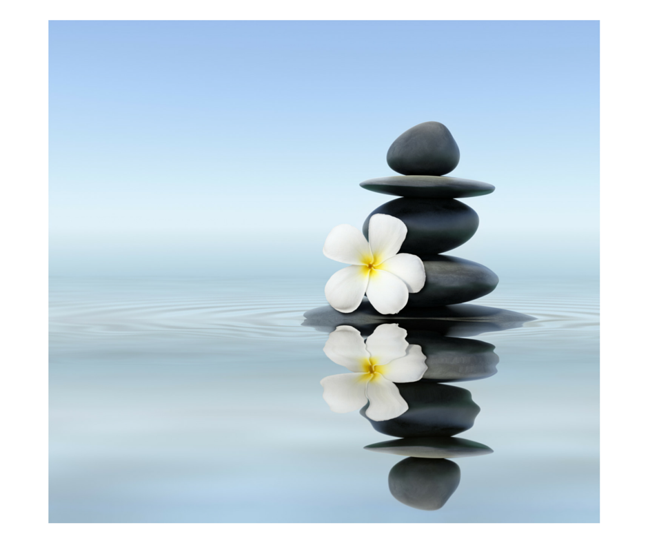 ELITE HEALTH SPA Updated August 2024 5178 Dundas Street W