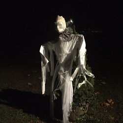 Glebe House - Ready for Halloween