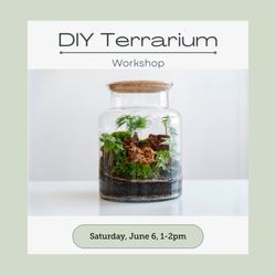 Pine Lane Nursery - Join us for our next DIY event, Saturday June 6, 2026 @ 1 pm