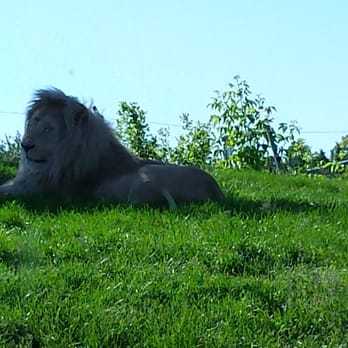 Toronto Zoo - Zoos Near Me - Toronto, Ontario Toronto Zoo - Zoos Near Me - Toronto, Ontario