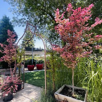 Willow Gardens Nursery - Nurseries & Gardening Near Me - Clovis, California