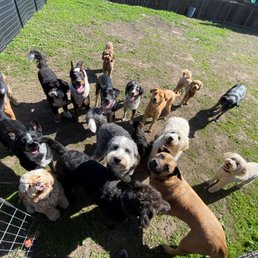 The gang @ Doza's Dogs! The gang @ Doza's Dogs!