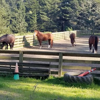 The Presidio - I love going to see the horses at the stable - Parks Near Me