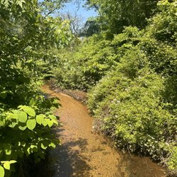 Brookside Preserve