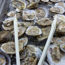 Oysters
