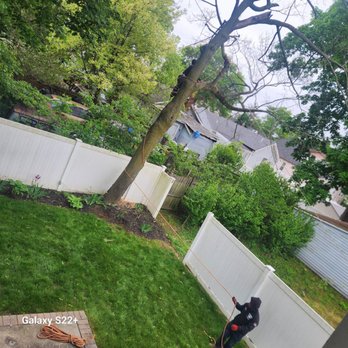 Cheap Charlie's Tree - Tree Services Near Me - East Islip, New York Cheap Charlie's Tree - Tree Services Near Me - East Islip, New York