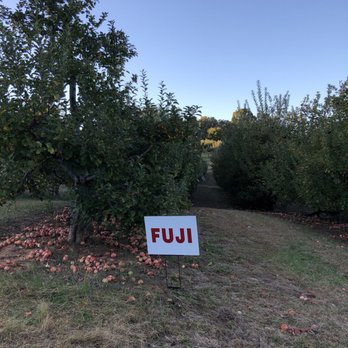 Apple Hill Orchard & Cider Mill - Fruits & Veggies Near Me - Morganton, North Carolina
