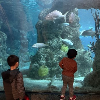 Downtown Aquarium - Museums Near Me - Denver, Colorado Downtown Aquarium - Museums Near Me - Denver, Colorado