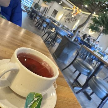 Pasha Turkish Restaurant - Turkish Flavored Tea - Halal Near Me - Manchester, Connecticut Pasha Turkish Restaurant - Turkish Flavored Tea - Halal Near Me - Manchester, Connecticut