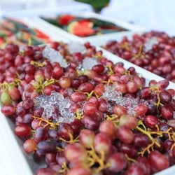 Campus Gastronomie
