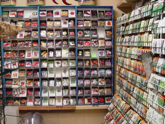 HILLSIDE FEED SEED STORE Pet Stores 1805 S Hillside St Wichita KS Phone Number