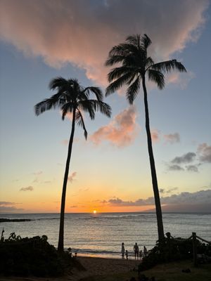 Kapalua Bay Beach by null