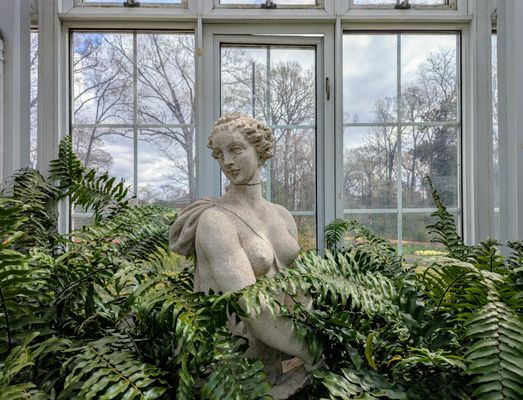 Dixon Gallery & Gardens by null