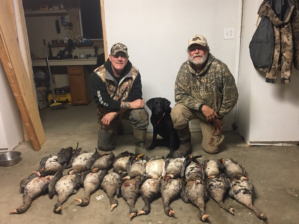 Whifflemaster - taxidermy in Butte City, CA