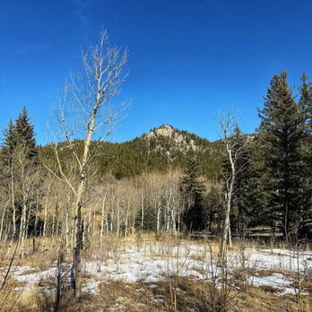 Golden Gate Canyon State Park - Horseshoe Trail (2/5/26) - Hiking Near Me - Golden, Colorado Golden Gate Canyon State Park - Horseshoe Trail (2/5/26) - Hiking Near Me - Golden, Colorado