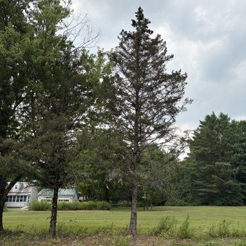 Vanished Junk Removal - Tree removal - Demolition Services Near Me Vanished Junk Removal - Tree removal - Demolition Services Near Me
