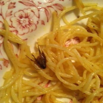 Sampan Inn - Signapore Noodles with a bug in it. - Japanese Near Me - Havertown, Pennsylvania Sampan Inn - Signapore Noodles with a bug in it. - Japanese Near Me - Havertown, Pennsylvania