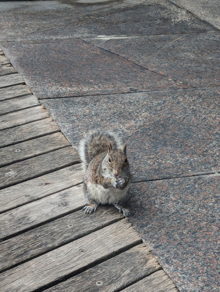 Boardwalk Image