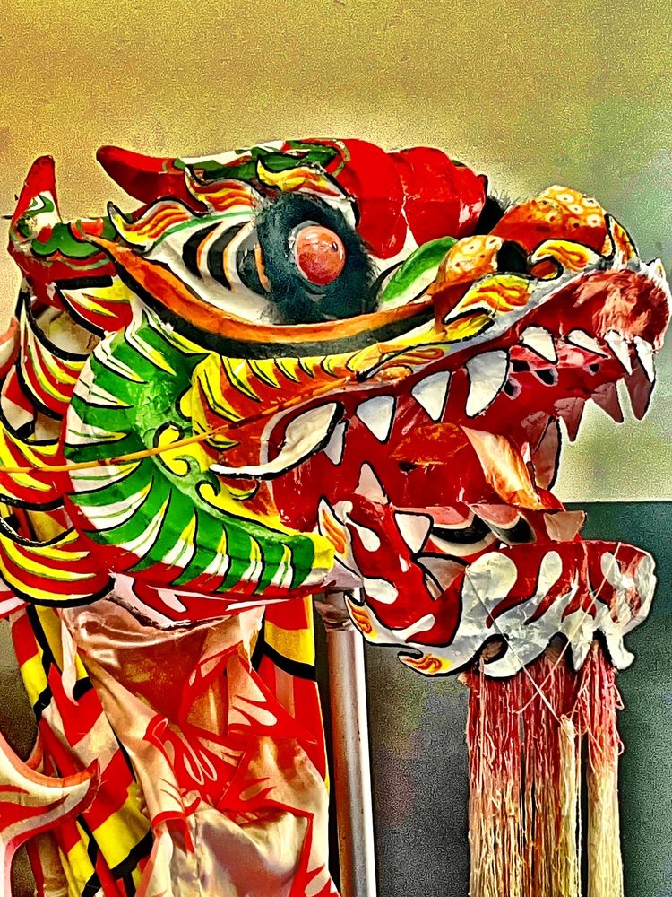 Jow Ga Kung Fu Logo