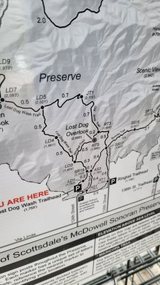 Lost Dog Wash Trailhead by null