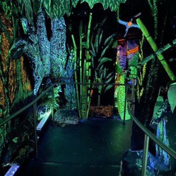 Bishop Museum - Museums Near Me - Honolulu, Hawaii