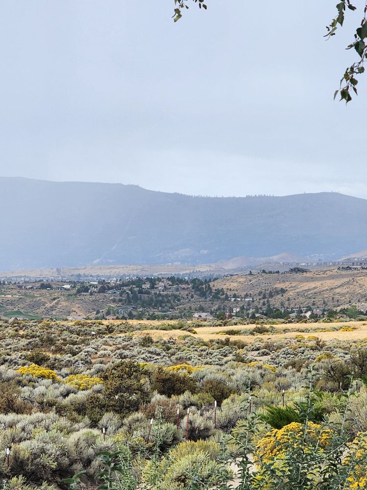 Sierra Vista Park Logo