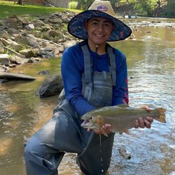 On The Fly Excursions