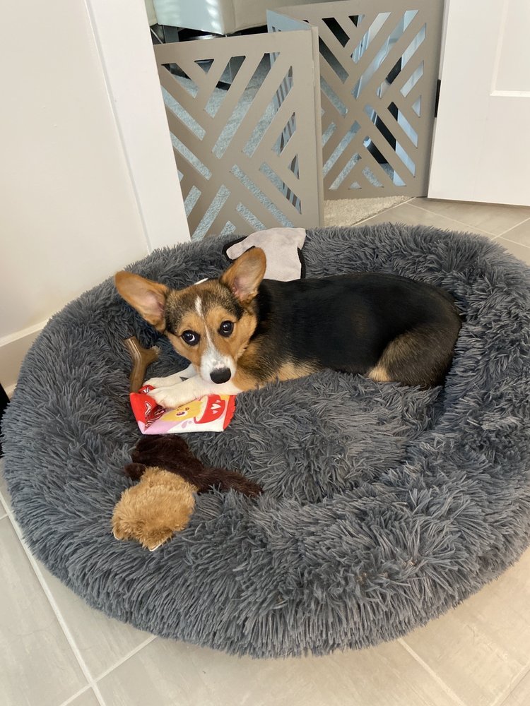 PALMER ANIMAL HOSPITAL Updated August 2024 10 Reviews 9405